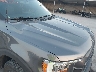 1FTEW1EP1MF****** Reparables 2021 Ford F-150