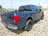 1FTEW1E56LF****** Salvamento y Destrozados 2020 Ford F-150 en Estado de Virginia