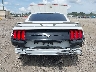 1FA6P8TH5J5****** Usados 2018 Ford Mustang