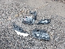 2C3CCAGGXLH****** Wrecked 2020 Chrysler 300 in Ohio State