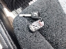 1HGEM22555L****** Salvage 2005 Honda Civic in Florida State