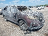 5FNYF5H57KB****** Salvage and Wrecked 2019 Honda Pilot in Austin
