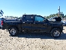 1GCGSBEC4R1****** Salvage and Wrecked 2024 Chevrolet Colorado in Seattle