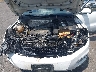 WVGBV7AX5FW****** Repairable 2015 Volkswagen Tiguan in Scranton