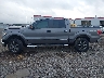 1FTFW1EF6EK****** Salvamento 2014 Ford F-150