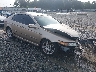 19UUA66217A****** Salvamento y Destrozados 2007 Acura TL en Tifton