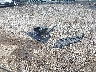 2T1BU4EE4AC****** Wrecked 2010 Toyota Corolla in Kentucky State
