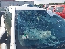 2T1BU4EE4AC****** Wrecked 2010 Toyota Corolla