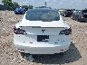 5YJ3E1EC2LF****** Wrecked 2020 Tesla Model 3