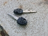 LPRSE48Y69A****** Salvage 2009 Yamaha Zuma 125 in Washington State