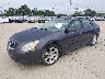 1N4BA41EX7C****** Used and Repairable 2007 Nissan Maxima in Saint Louis