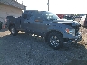 1FTFX1EF2BF****** Salvage and Wrecked 2011 Ford F-150 in Appleton