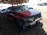 1HGCV1F37KA****** Salvage and Wrecked 2019 Honda Accord in Phoenix