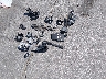 1C4RJFBG8GC****** Destrozados 2016 Jeep Grand Cherokee en Estado de Iowa