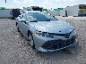 4T1B11HK2KU****** Salvage and Wrecked 2019 Toyota Camry in Dallas