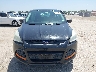 1FMCU0F73DU****** Destrozados 2013 Ford Escape en Estado de Texas