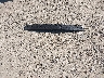 1J4FT28B39D****** Wrecked 2009 Jeep Patriot in Ohio State