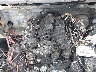 1C4BJWFG9JL****** Salvamento y Reparables 2018 Jeep Wrangler en Estado de Virginia