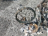1HD1CX3138K****** Salvage 2008 Harley-Davidson Xl1200 in Illinois State