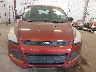 1FMCU0F79EU****** Wrecked 2014 Ford Escape in Michigan State