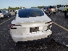 5YJ3E1EA2SF****** Salvamento 2025 Tesla Model 3