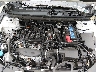 1HGCY1F44SA****** Reparables 2025 Honda Accord en Taunton