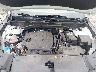 5XYRL4JC8RG****** Reparables 2024 Kia Sorento en Lexington