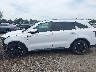 5XYRL4JC8RG****** Salvamento 2024 Kia Sorento
