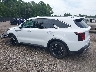 5XYRL4JC8RG****** Salvamento y Reparables 2024 Kia Sorento en Lexington