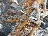 LCELVYZ12N6****** Repairable 2022 CF Moto Zforce in Knoxville