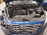 5NPE34AF1HH****** Repairable 2017 Hyundai Sonata in Saint Cloud