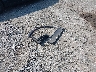 KL4CJGSB5GB****** Destrozados 2016 Buick Encore en Estado de Pennsylvania