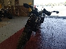 MLHPC6758R5****** Used and Repairable 2024 Honda SCL500 in Nevada State