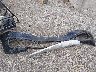 KNDME5C15G6****** Destrozados 2016 Kia Sedona en Estado de Indiana