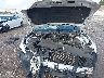 1FA6P8TH7F5****** Repairable 2015 Ford Mustang in Tampa