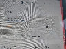 5YJYGDEF9MF****** Wrecked 2021 Tesla Model Y