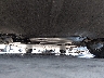 5YJYGDEF2LF****** Salvamento y Reparables 2020 Tesla Model Y en Estado de Arizona