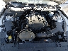 1FA6P8TH9H5****** Repairable 2017 Ford Mustang in San Diego