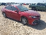 4T1C31AK9NU****** Salvage and Wrecked 2022 Toyota Camry in Corpus Christi
