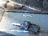 JH4CU2F68BC****** Salvage 2011 Acura TSX in Texas State