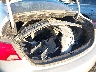2G1115S3XG9****** Wrecked 2016 Chevrolet Impala in California State