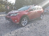 2T3WFREV6DW****** Usados y Reparables 2013 Toyota RAV4 en Charleston
