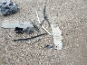 2CNALBEW4A6****** Wrecked 2010 Chevrolet Equinox in Indiana State