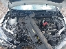 3N1AB7AP1KY****** Repairable 2019 Nissan Sentra in Knoxville