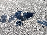 ML32FUFJ2RH****** Wrecked 2024 Mitsubishi Mirage in Indiana State
