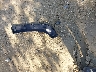 W1K3G4EB3MJ****** Destrozados 2021 Mercedes-Benz A-Class en Estado de Florida
