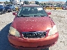 1NXBR32E57Z****** Salvage and Repairable 2007 Toyota Corolla in California State