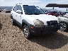 KM8JN12D95U****** Salvamento y Destrozados 2005 Hyundai Tucson en Phoenix