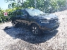 5XYRL4LC6NG****** Salvage and Wrecked 2022 Kia Sorento in West Palm Beach