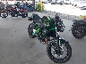 ML5EREN17SD****** Salvamento y Destrozados 2025 Kawasaki Z650 en Rec Rides Online Exclusive
